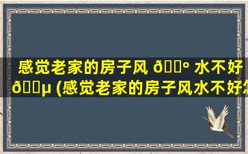 感觉老家的房子风 🐺 水不好 🌵 (感觉老家的房子风水不好怎么*
)